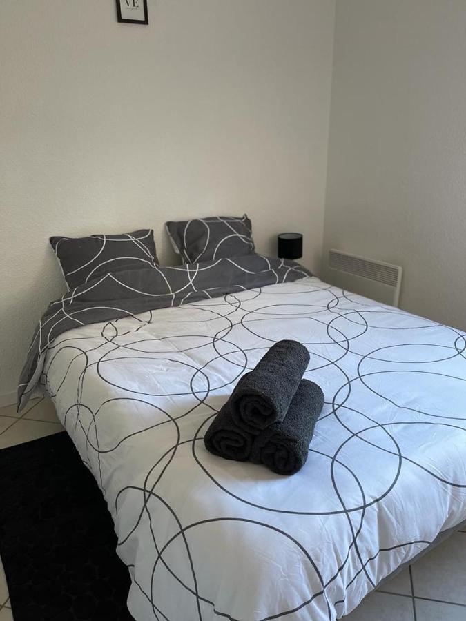 Logement entier - Wifi - Parking privatif - Piscine Appartement Le Mans Buitenkant foto